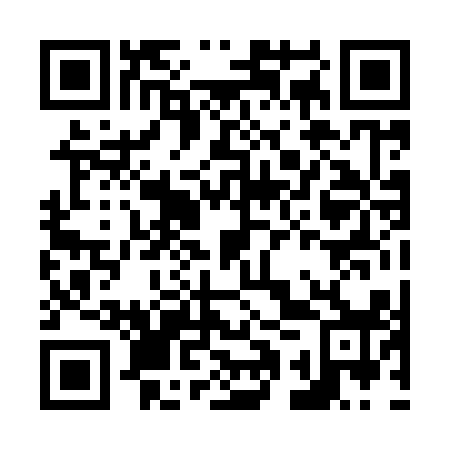 QR code for N1P 918