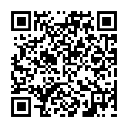 QR code for N1P 920