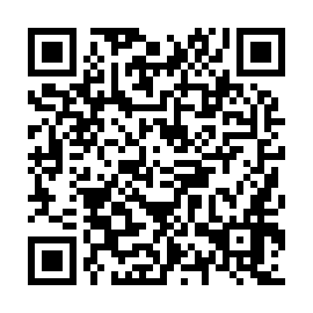 QR code for N1P 956