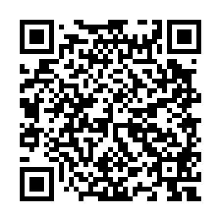 QR code for N1P088