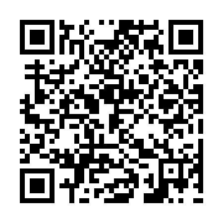 QR code for N1P226