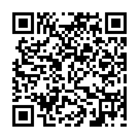 QR code for plate N1P 253