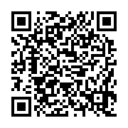 QR code for N1P374