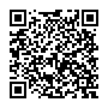 QR code for plate N1P 563