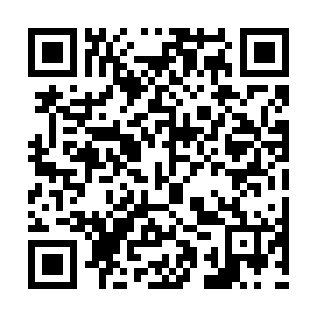 QR code for N1P666