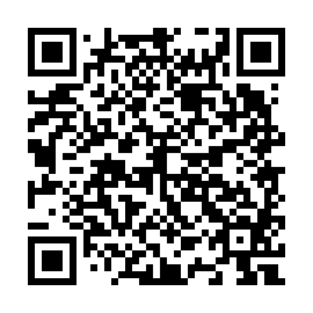 QR code for plate N1P 684
