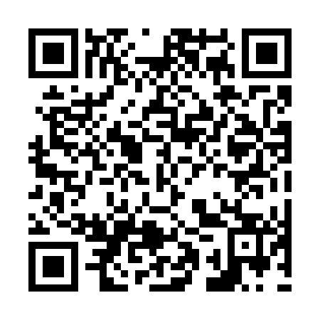 QR code for N1P743