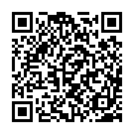 QR code for N1P793