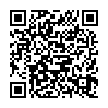 QR code for N1P909