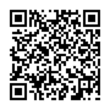 QR code for N1Q 308