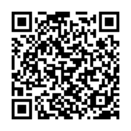 QR code for N1Q 311