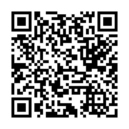 QR code for N1Q 314