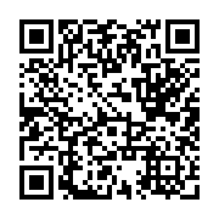 QR code for N1Q 382
