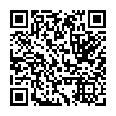 QR code for N1Q 383