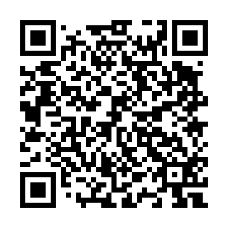 QR code for N1Q 412