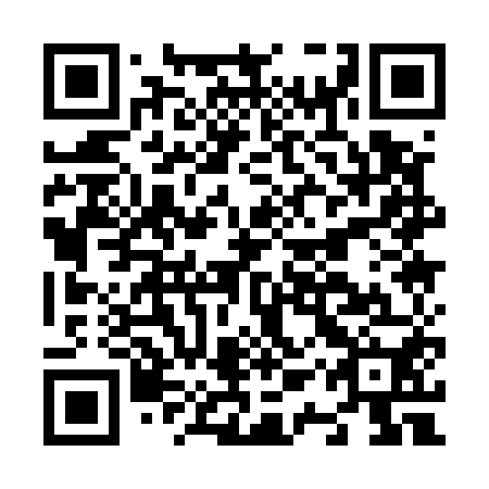 QR code for N1Q 550