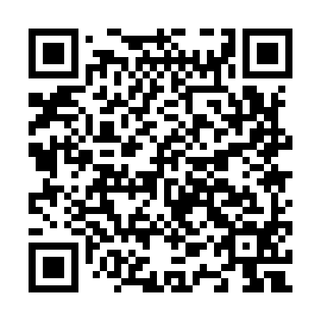 QR code for N1Q 994