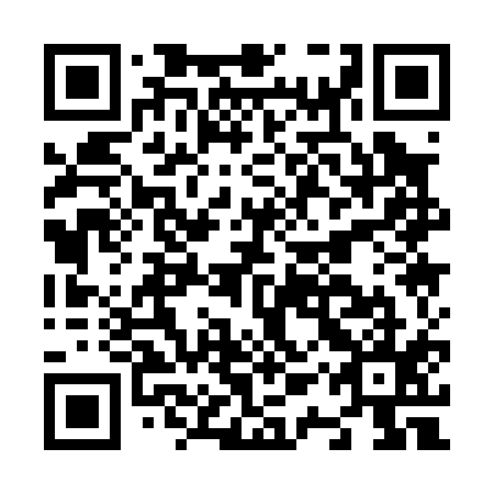 QR code for N1Q015