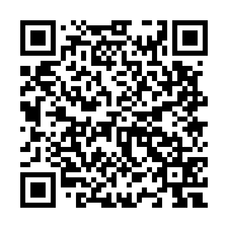 QR code for plate N1Q 575