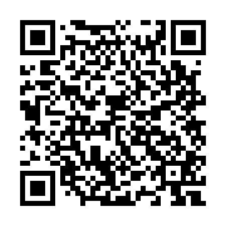 QR code for N1R 101