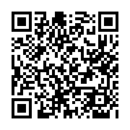 QR code for N1R 343