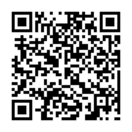 QR code for N1R 383