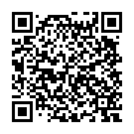 QR code for N1R 453