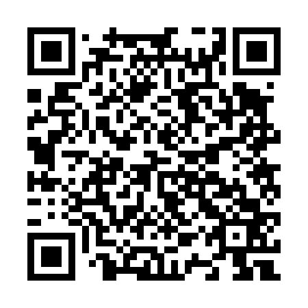QR code for N1R 463
