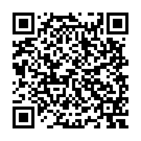 QR code for N1R 594