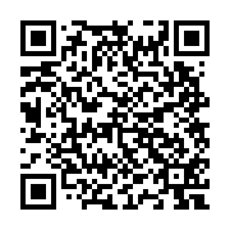 QR code for N1R 711