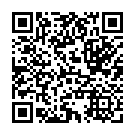 QR code for N1R133