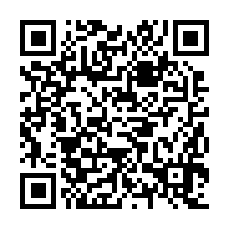 QR code for N1R294
