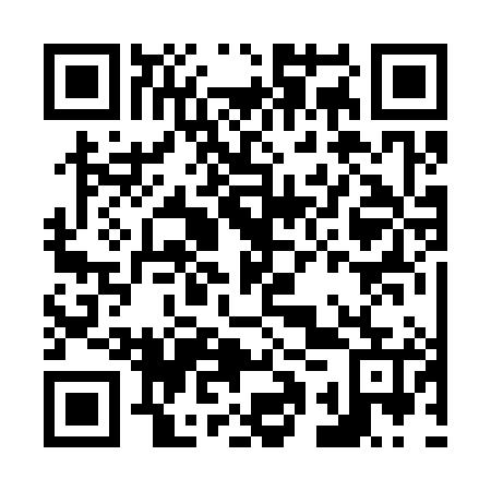 QR code for N1R385