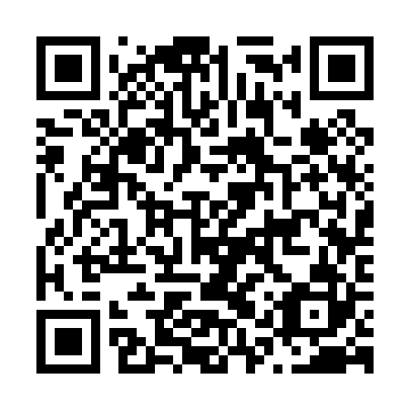 QR code for N1S 022