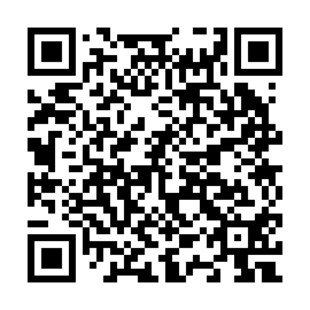 QR code for N1S 210