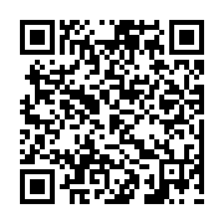 QR code for N1S 234