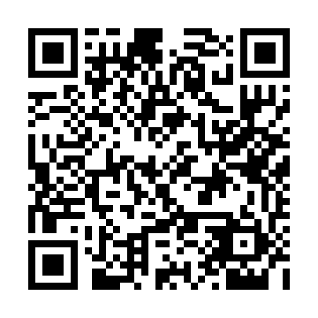 QR code for N1S 271