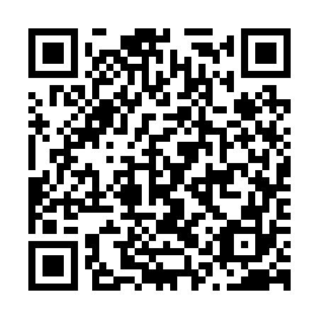 QR code for N1S 272