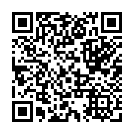 QR code for N1S 333