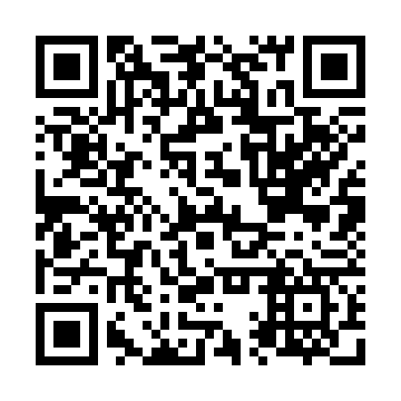 QR code for N1S 367