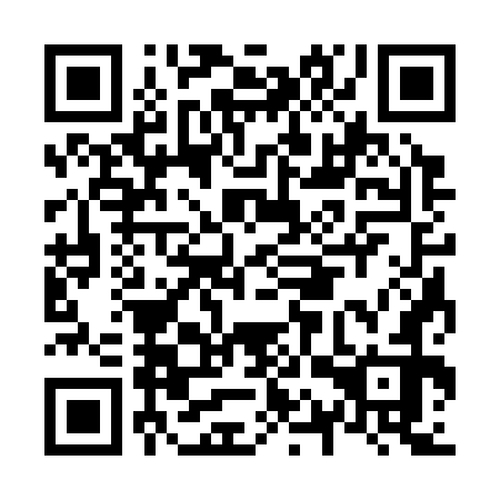 QR code for N1S 372