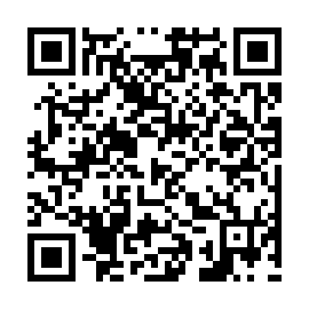 QR code for N1S 374