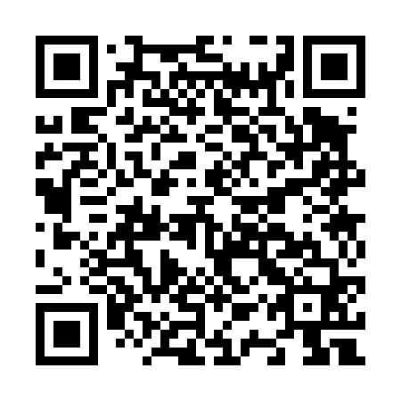 QR code for N1S 460