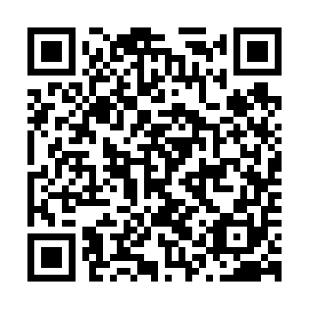 QR code for N1S 650