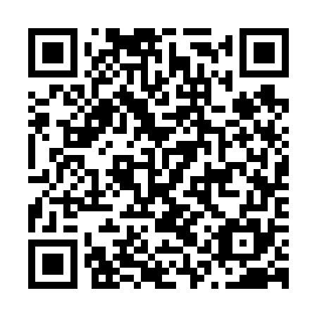 QR code for N1S 675