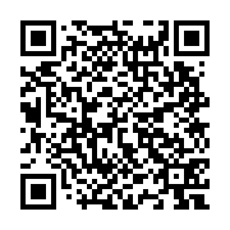 QR code for N1S 771