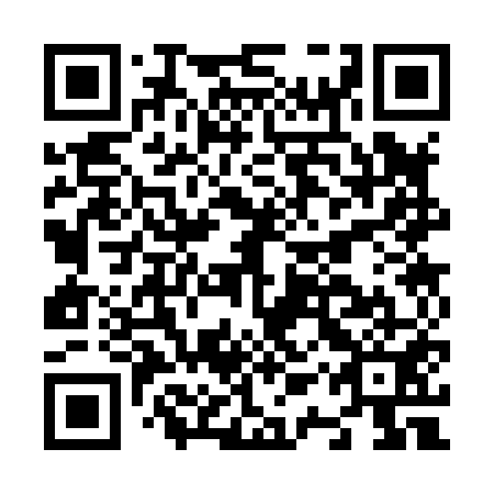 QR code for N1S 851
