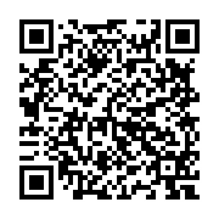 QR code for N1S 894