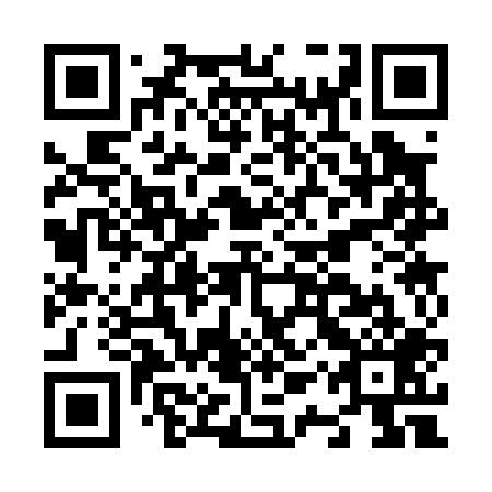 QR code for N1S009