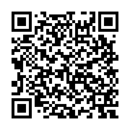 QR code for N1S151